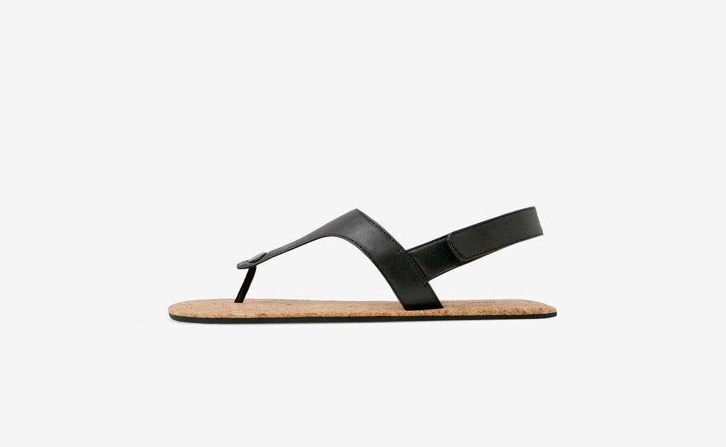 Coastal Elegance - Black