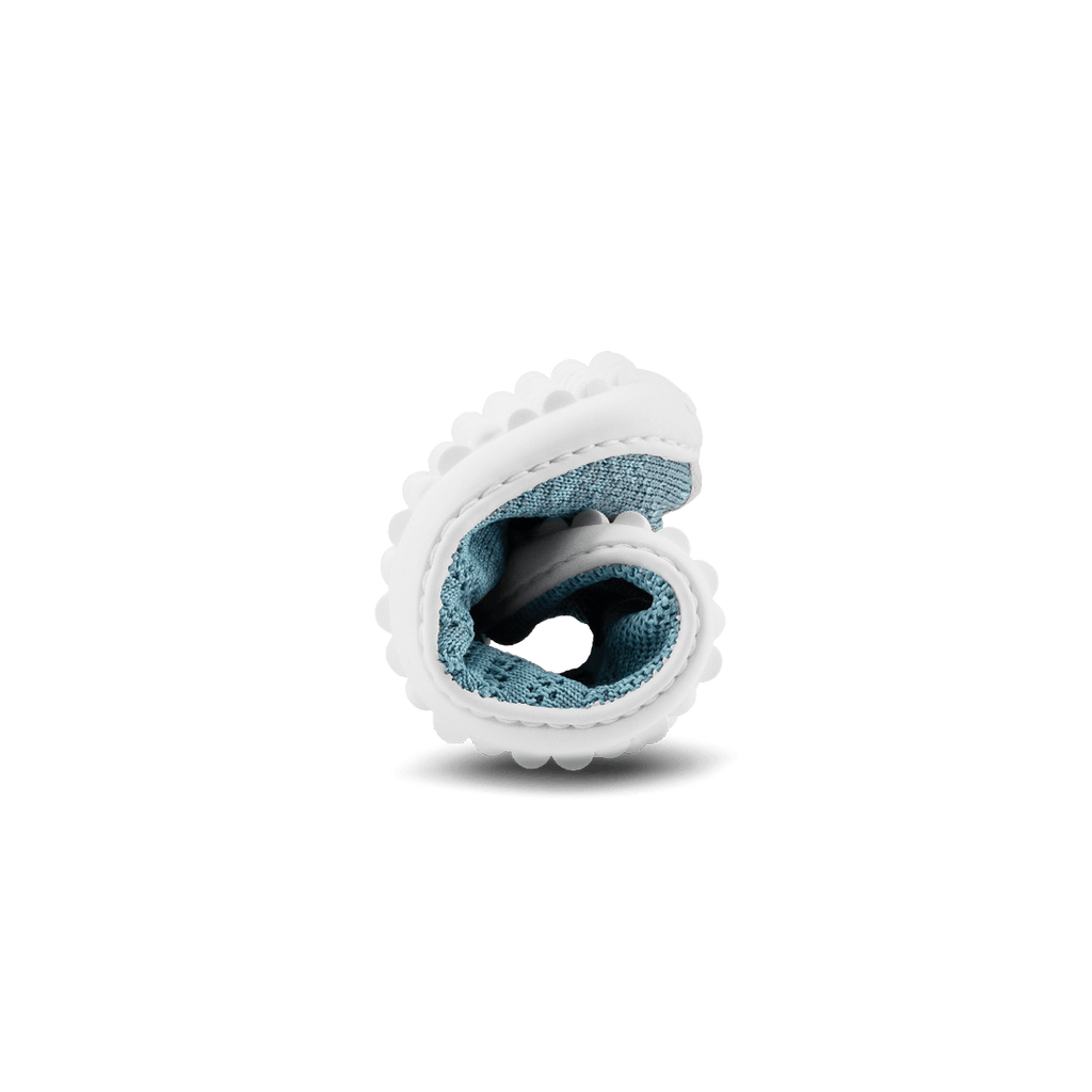 leguanito go: seablue