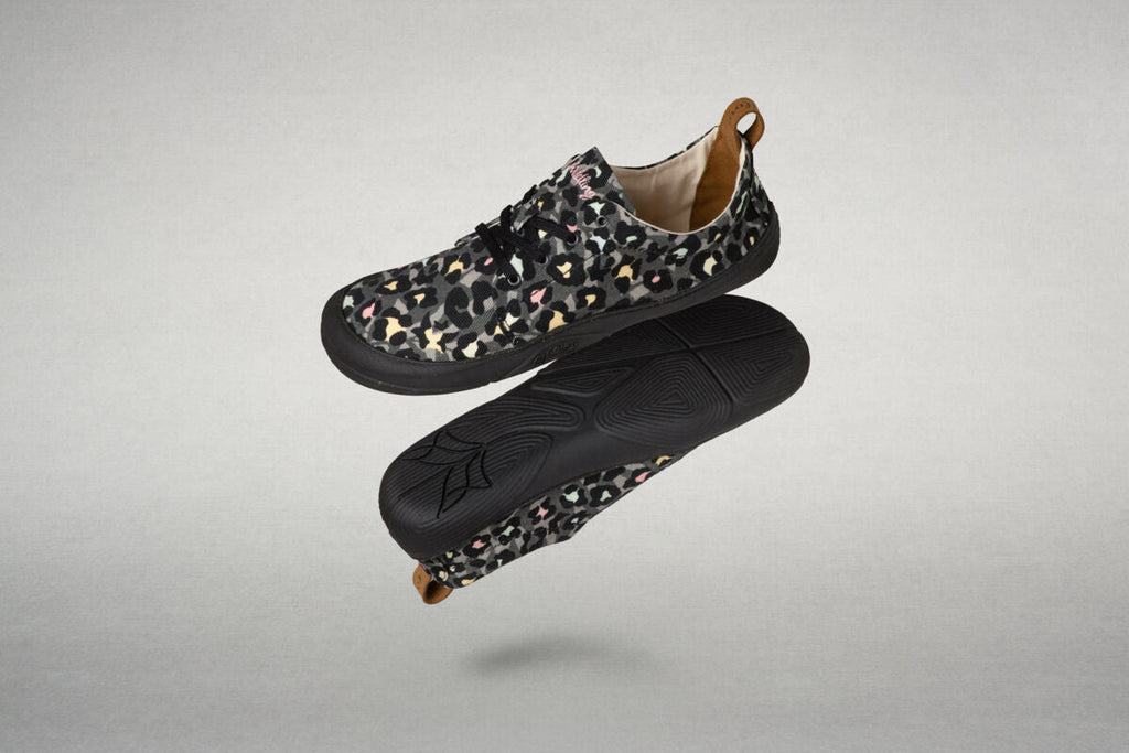 Wildling Aopri leo black (Rewilded)