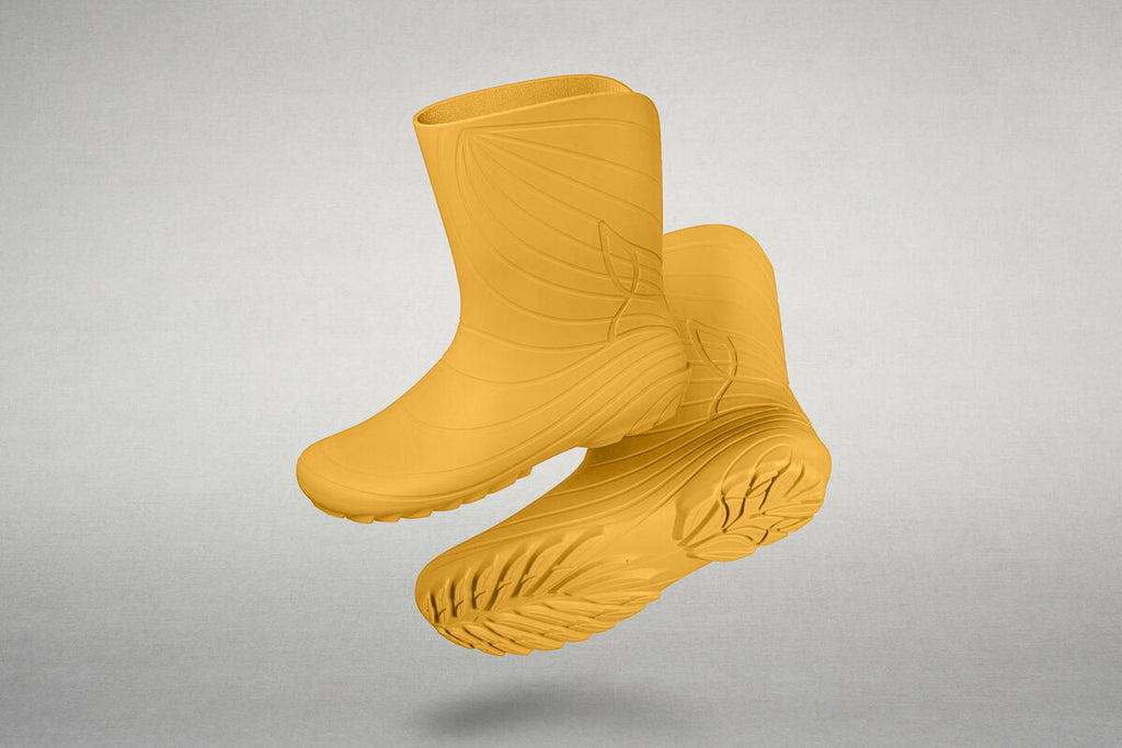 Ranidae yellow