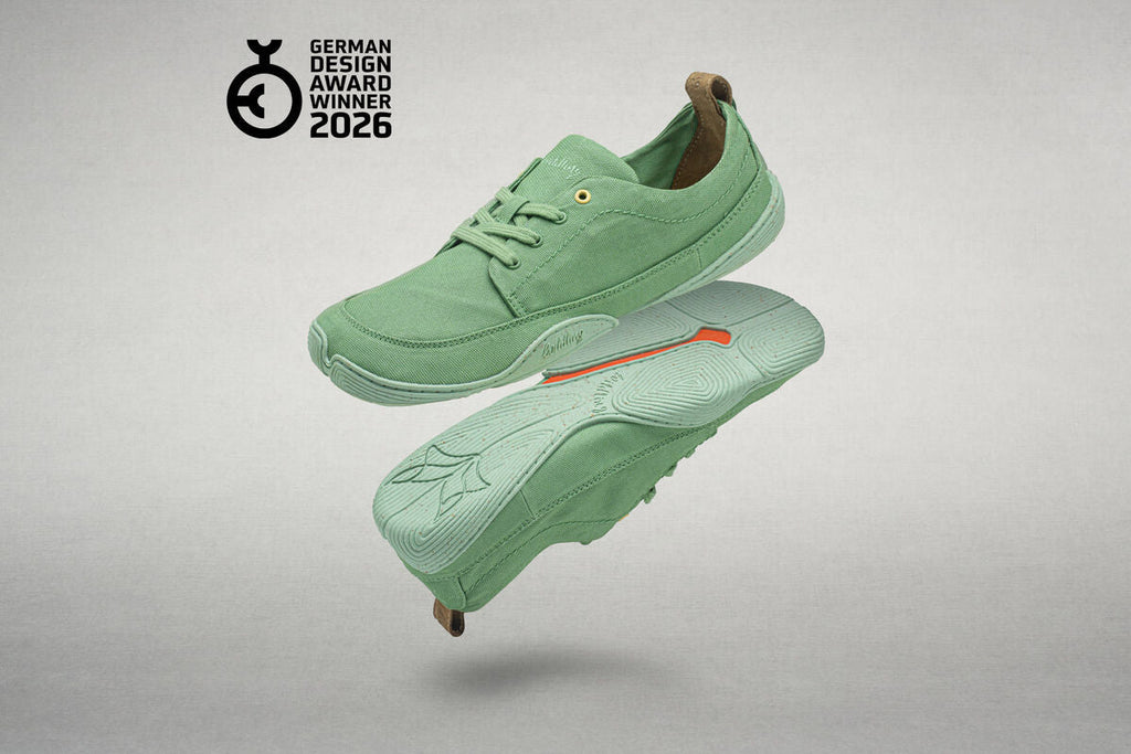 Wildling sneakers on a gray background